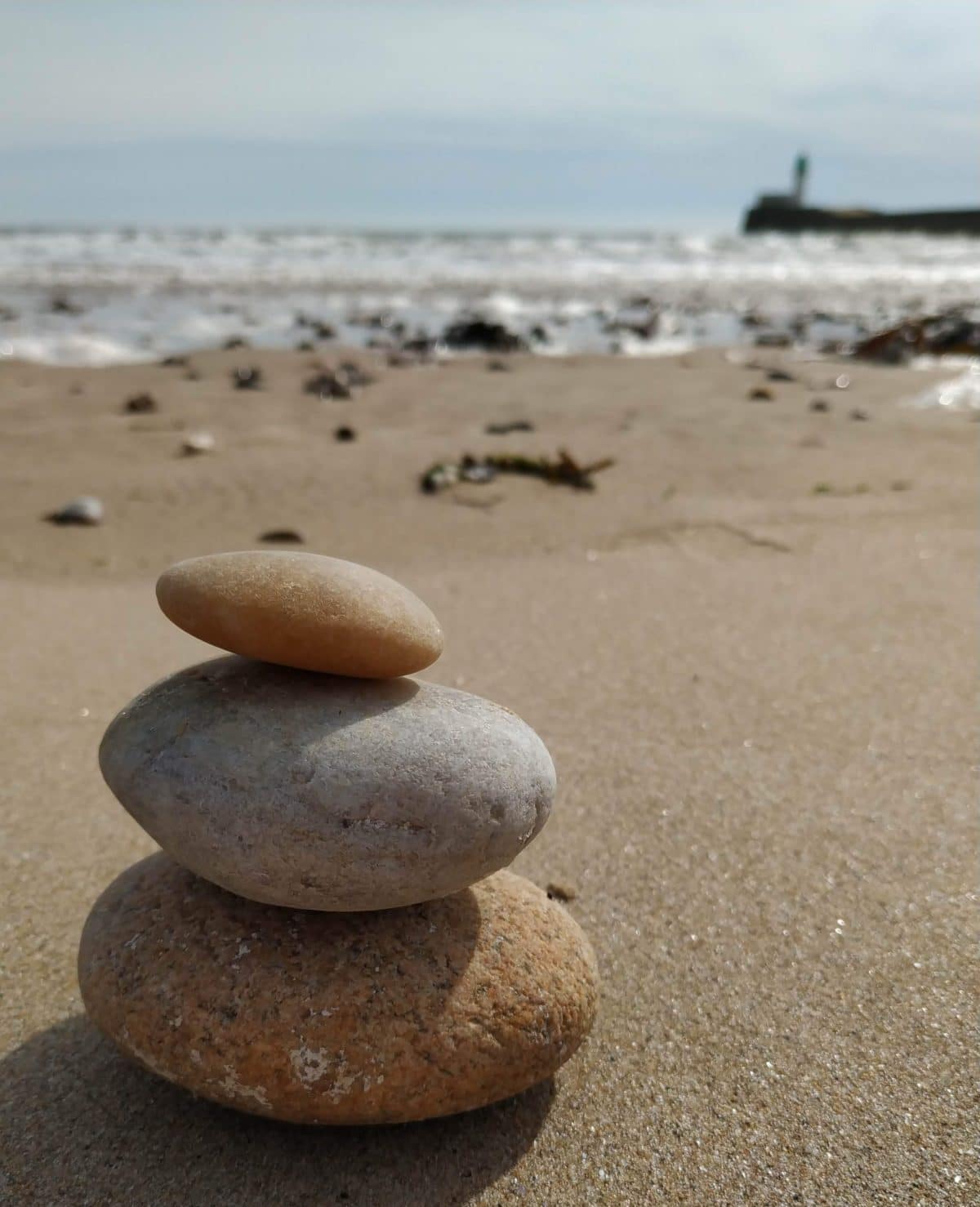 Formation Méditation Pleine Conscience