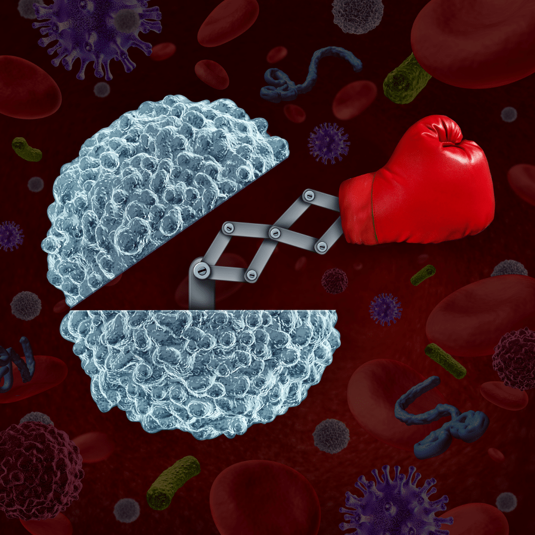 Ma parenthèse vitalité : l’Immunité
